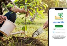 Сообщать о проблемах с благоустройством теперь можно через eGov mobile