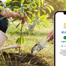 Сообщать о проблемах с благоустройством теперь можно через eGov mobile