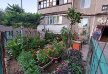 Приехал, увидел и решил!