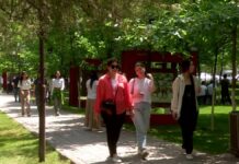 Где найти бесплатный Wi-Fi в Шымкенте