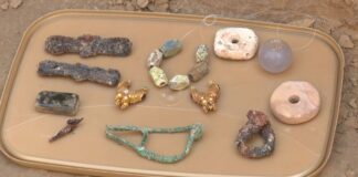 Золотые украшения, которым более 2000 лет, нашли в Туркестанской области