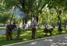 Коммунальные службы и жители Шымкента преобразили город в рамках акции «Таза Қазақстан»