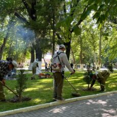 Коммунальные службы и жители Шымкента преобразили город в рамках акции «Таза Қазақстан»
