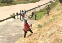 Акция «Таза Қазақстан» продолжается в Туркестанской области