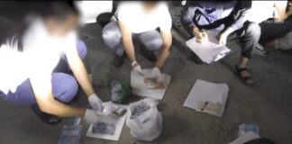 За коррупцию осужден сотрудник Управления цифровизации Туркестанской области