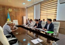 Очистные сооружения и озеленение: планы по улучшению экологии Шымкента