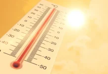 О сильной жаре предупреждают синоптики Жара
