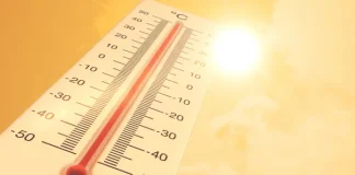 О сильной жаре предупреждают синоптики Жара