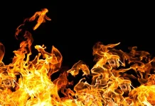 20 гектаров территории в Актас-2 горели в Шымкенте