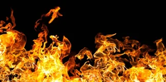 20 гектаров территории в Актас-2 горели в Шымкенте