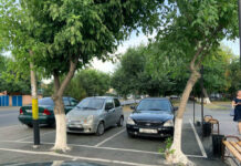 Прошу помощи! Дереву!