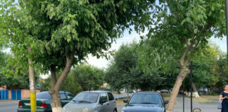 Прошу помощи! Дереву!