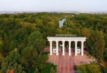 В хищении 14,7 млн тенге подозреваются руководство дендропарка