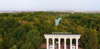 В хищении 14,7 млн тенге подозреваются руководство дендропарка