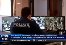 Хитрую схему хищения бюджетных средств придумал шымкенсткий бизнесмен