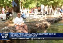 Шымкентцы охлаждаются на берегу реки Кошкарата