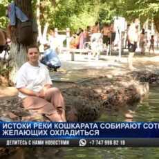 Шымкентцы охлаждаются на берегу реки Кошкарата