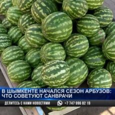 В Шымкенте начался сезон арбузов