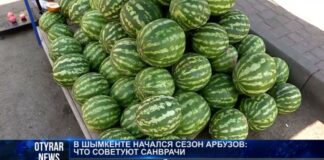 В Шымкенте начался сезон арбузов