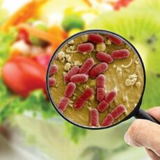 Осторожно, скоропортящиеся продукты!