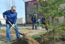 Участники акции «Таза Қазақстан» достигли рекордных результатов