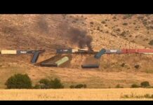 Составы грузового поезда сошли с рельсов в Туркестанской области