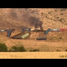 Составы грузового поезда сошли с рельсов в Туркестанской области