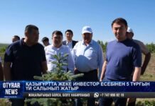 Почти 2 млрд тенге выделено для развития Казгуртского района в Туркестанской области