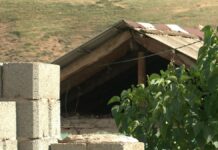 Приёмному отцу-садисту диагностировали шизофрению