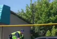 Водителя, «прокатившего» на капоте полицейского, привлекли к ответственности