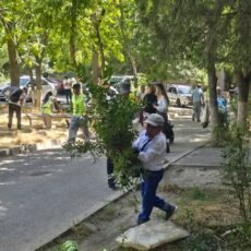 Активисты микрорайона Восток в Шымкенте демонстрируют пример экологической ответственности