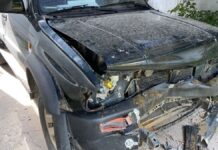 Жители Шымкента едва не погибли из-за скота на трассе