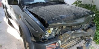 Жители Шымкента едва не погибли из-за скота на трассе