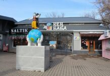 Разлагающиеся голуби и смрад: Парк Кен Баба передадут в госсобственность