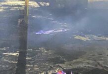 Пожар в индустриальной зоне «Ордабасы» локализован