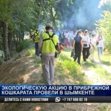 Экоакцию «Чистый четверг» провели в Шымкенте