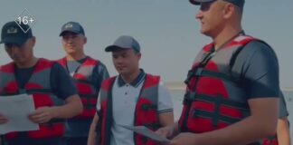 В Шымкенте произошло ДТП с летальным исходом