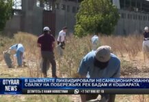 Волонтеры в Шымкенте вышли на очистку главных водных артерий города