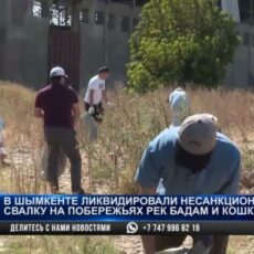 Волонтеры в Шымкенте вышли на очистку главных водных артерий города