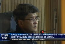 В колонии Бишимбаев сможет освоить профессию столяра или жестянщика