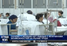 В правительстве решили бороться с неравенством мужчин и женщин