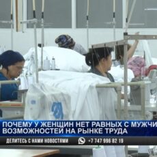 В правительстве решили бороться с неравенством мужчин и женщин