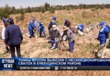 Тонны мусора вывезли со стихийных свалок в Енбекшинском районе