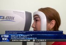 Оптика DOS предлагает больше 600 стильных и качественных оправ для очков