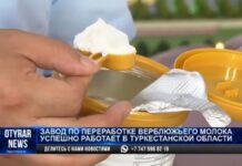 В Туркестане производят шубат в виде порошка