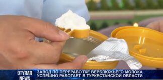 В Туркестане производят шубат в виде порошка