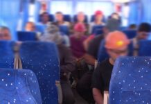 Незаконных трудовых мигрантов выявили полицейские Шымкента