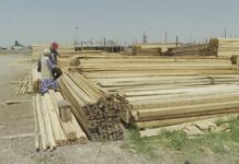 Строительные рынки Шымкента переносят на окраину города