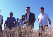 В Туркестанской области интенсивно развивается сельское хозяйство