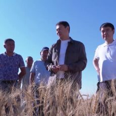 В Туркестанской области интенсивно развивается сельское хозяйство